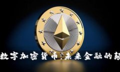 皇家数字加密货币：未来