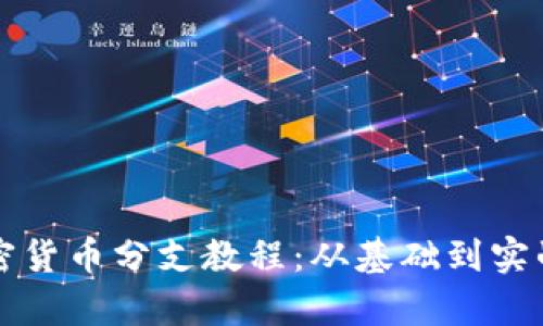 全面解析加密货币分支教程：从基础到实战的完整指南