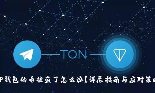 TP钱包的币被盗了怎么办？详尽指南与应对策略