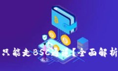 TP钱包是否只能走BSC通道？