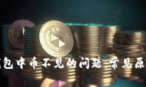 如何解决TP钱包中币不见的问题：常见原因与解决方案