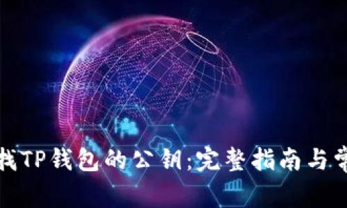 如何查找TP钱包的公钥：完整指南与常见问题