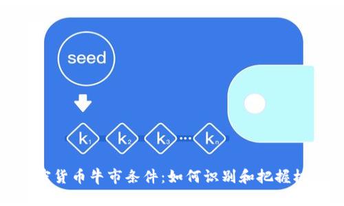加密货币牛市条件：如何识别和把握机会