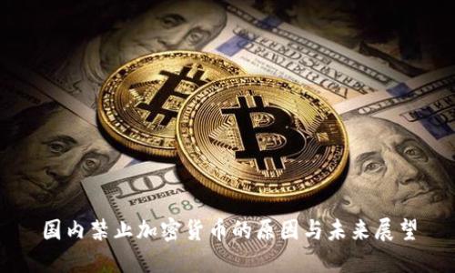国内禁止加密货币的原因与未来展望