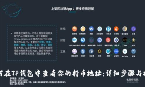 如何在TP钱包中查看你的持币地址：详细步骤与技巧