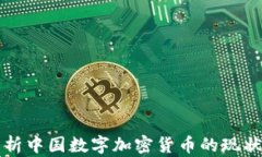 深入解析中国数字加密货
