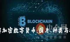 全面了解加密数字货币：