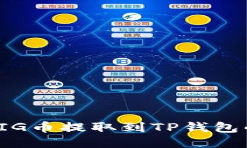 : 如何将PIG币提取到TP钱包的详细指南