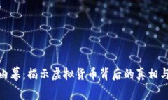 加密货币内幕：揭示虚拟
