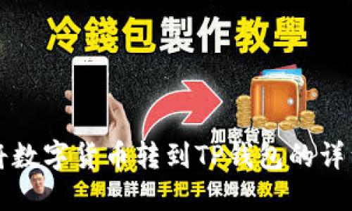 如何将数字货币转到TP钱包的详细指南