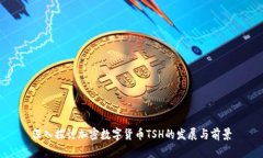 深入探讨加密数字货币T