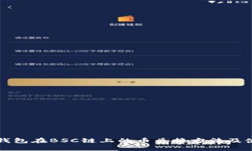 详解TP钱包在BSC链上的币兑换方法及使用技巧