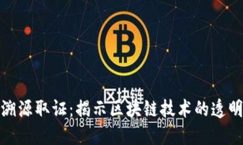 加密货币溯源取证：揭示区块链技术的透明性与挑战
