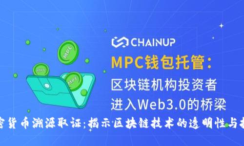 加密货币溯源取证：揭示区块链技术的透明性与挑战