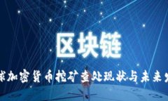 全球加密货币挖矿查处现