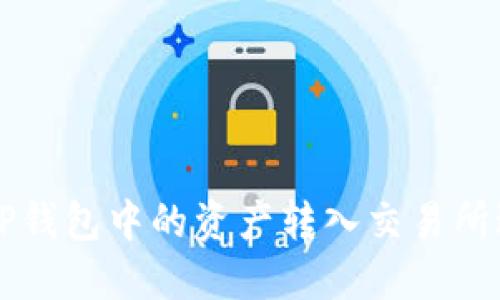 如何将TP钱包中的资产转入交易所进行交易