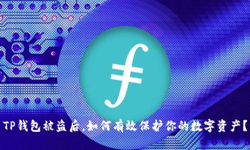 TP钱包被盗后，如何有效保护你的数字资产？