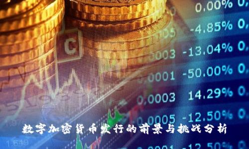 数字加密货币发行的前景与挑战分析