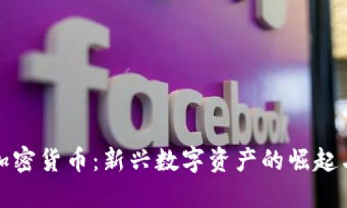天朝加密货币：新兴数字资产的崛起与挑战