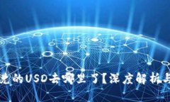 TP钱包闪兑的USD去哪里了？
