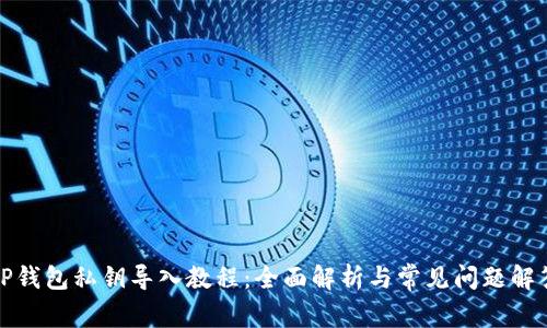 TP钱包私钥导入教程：全面解析与常见问题解答