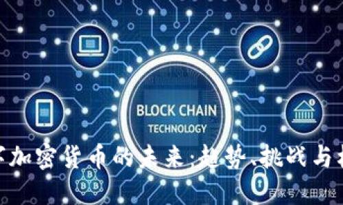 数字加密货币的未来：趋势、挑战与机遇