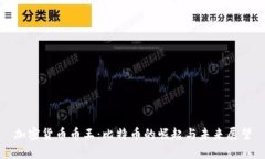 加密货币币王：比特币的