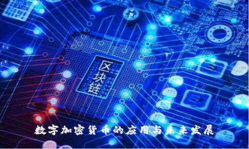 数字加密货币的应用与未来发展