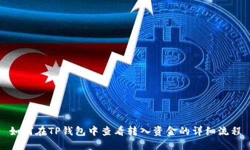 如何在TP钱包中查看转入资金的详细流程