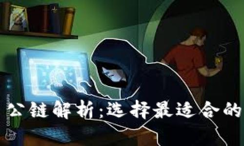 : 加密货币公链解析：选择最适合的区块链平台