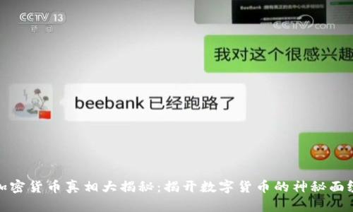 加密货币真相大揭秘：揭开数字货币的神秘面纱