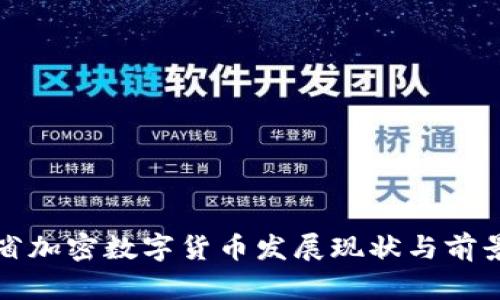 海南省加密数字货币发展现状与前景分析