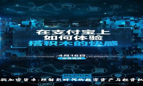 羊驼加密货币：理解新时代的数字资产与投资机会
