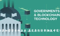 探索西藏加密货币的未来