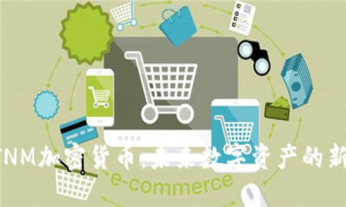 LTNM加密货币:未来数字资产的新星